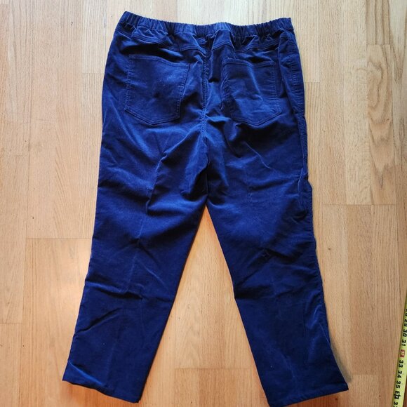 Isaac Mizrahi Live! Stretch Pincord Corduroy Pull On Pants Blue 18W Comfort - Picture 8 of 8